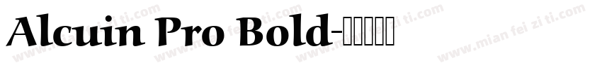 Alcuin Pro Bold字体转换